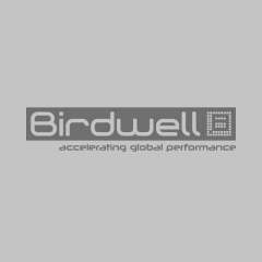 Birdwell-1